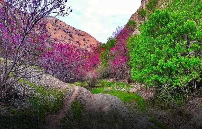 مناطق دیدنش مشهد- دره ارغوان