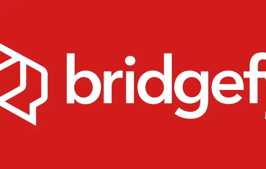 اینترنت قطع شد؟ فدای سرت! آموزش کامل کار با برنامه Bridgefy